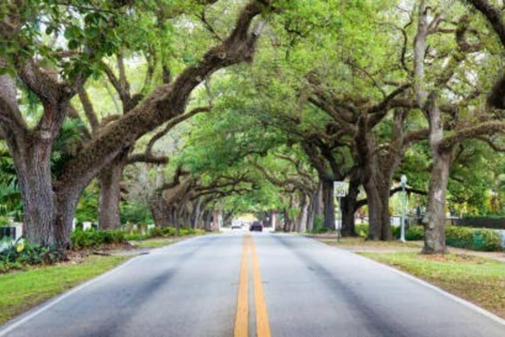 My Lovely Home In Miami 15 Minutes From The Beach Екстер'єр фото
